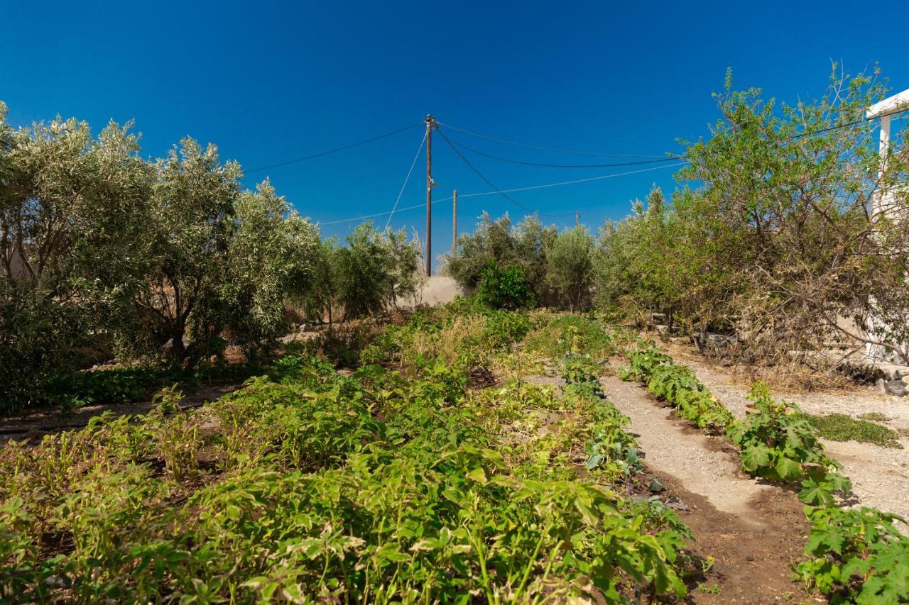 The Tree Houses Santorini Perissa  Exterior foto
